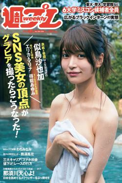 大宋宫词剧情介绍